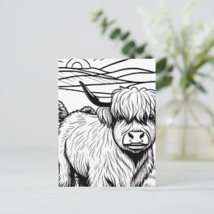 Colour Your Own! Highland Cow  Postcard