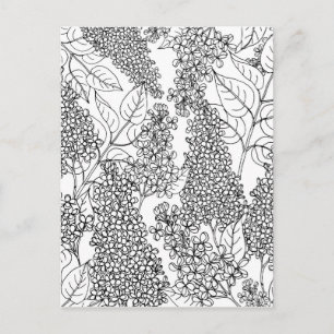 Colour Your Own Lilac Flowers Postcard