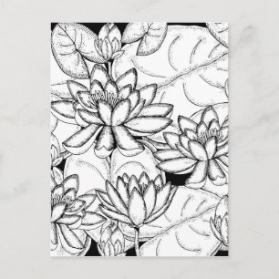 Colour Your Own Lotus Flowers Postcard