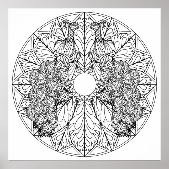 Colour Your Own Peacocks Mandala Colouring Poster (Front)