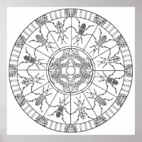 Colour Yourself Mandala Poster Blister Beetle Bugs
