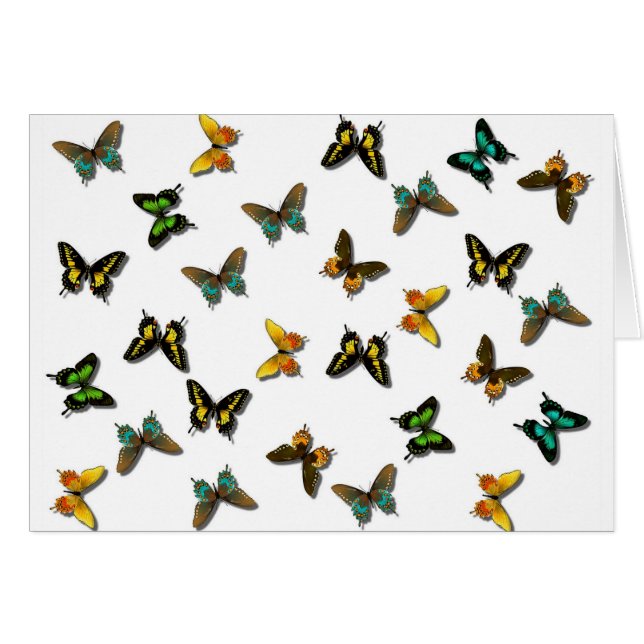 Coloured Butterflies Art (Front Horizontal)