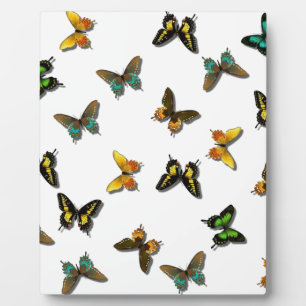 Coloured Butterflies Art Plaque