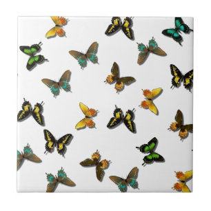 Coloured Butterflies Art Tile