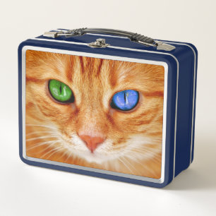 Coloured Cat's Eyes Metal Lunch Box