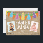 Coloured Easter Bunnies & Minis Photography Flyer  Invitation<br><div class="desc">Fill out with your info.</div>
