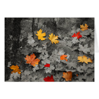 Coloured Leaves in Black and White Card