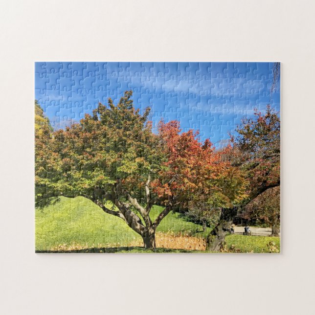 Coloured Maple Tree in Autumn Jigsaw Puzzle (Horizontal)