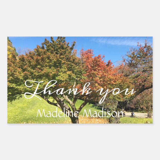 Coloured Maple Tree in Autumn Rectangular Sticker (Front)