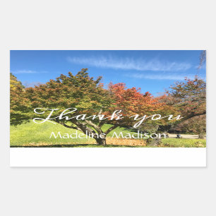 Coloured Maple Tree in Autumn Rectangular Sticker