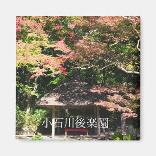 Coloured Maple Trees and Rest House Magnet