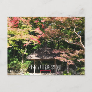 Coloured Maple Trees and Rest House Postcard