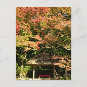 Coloured Maple Trees and Rest House Postcard
