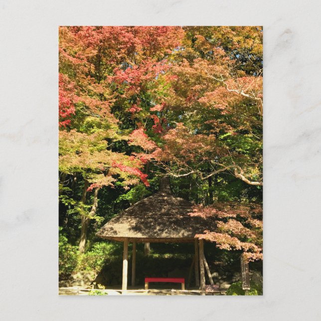 Coloured Maple Trees and Rest House Postcard (Front)