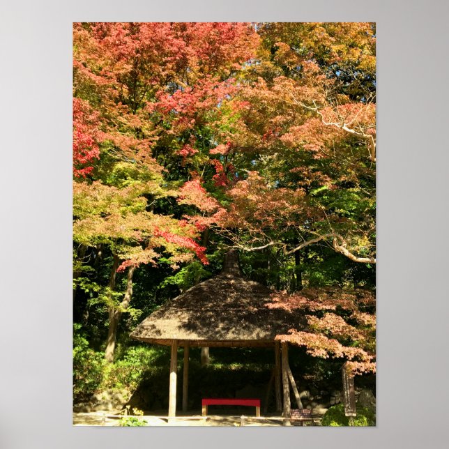 Coloured Maple Trees and Rest House Poster (Front)