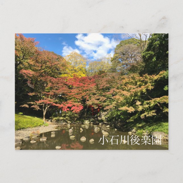 Coloured Maple Trees by Pond Postcard (Front)