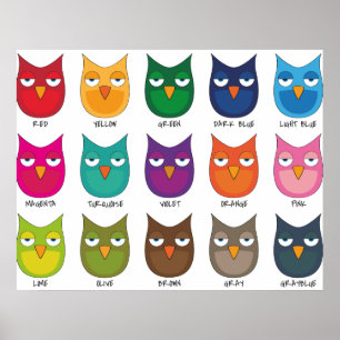 Coloured Owls / Coloured Owls Poster
