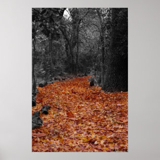 Coloured Path Poster