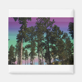 Coloured Tree Magnet