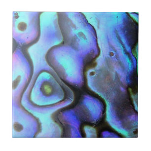 Colourful Abalone Seashell, Beautiful Nature Tile