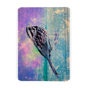 Colourful Abstract Bird Art: Vibrant Songbird Magnet