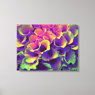 Colourful Abstract Flower Petals Canvas Art