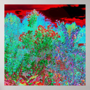 Colourful Abstract Garden with Crimson Sunset Poster