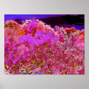Colourful Abstract Garden with Purple Sunset Poster