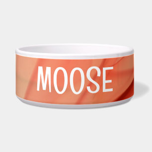 Colourful Abstract Pet Bowl with MOOSE Text
