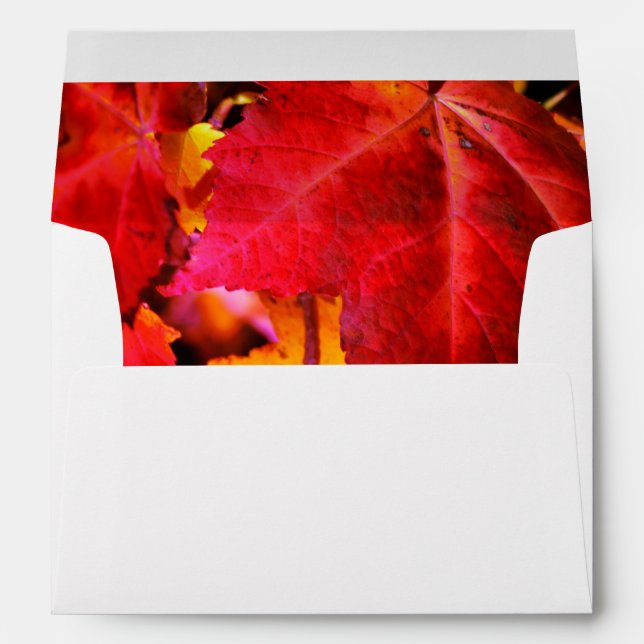 Colourful abstract pink red orange Autumn Leaves Envelopes (Back (Bottom))