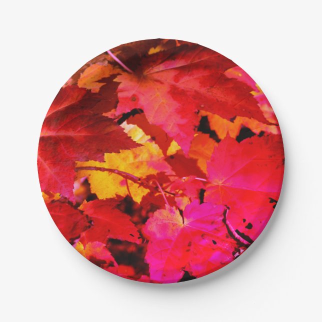 Colourful abstract pink red orange Autumn Leaves Paper Plate (Front)