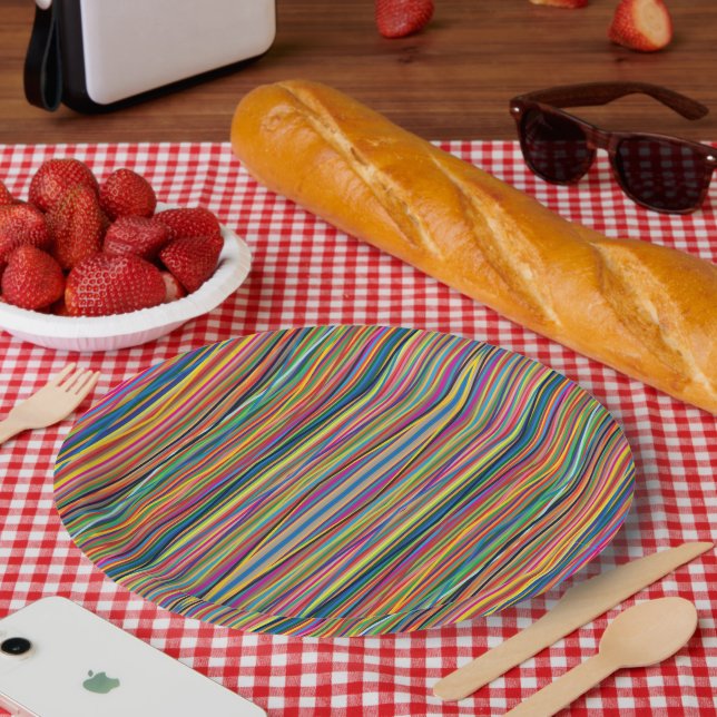 Colourful abstract stripes design paper plate (Picnic)