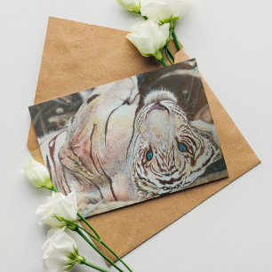 Colourful Acrylic White Tiger Monogram Birthday Card