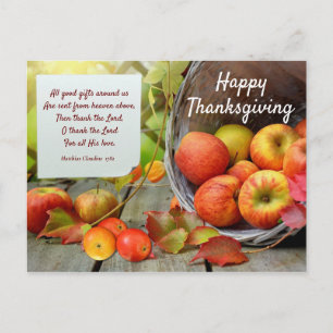 Colourful Apple Basket Thanksgiving Postcard