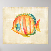 Colourful Aquarium Fish