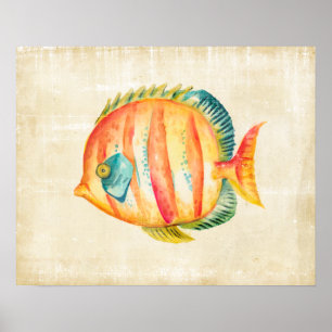 Colourful Aquarium Fish Poster
