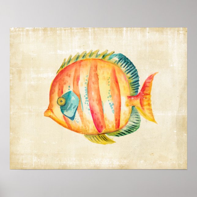 Colourful Aquarium Fish Poster (Front)