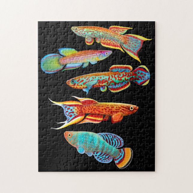 Colourful Aquarium Killifish Puzzle (Vertical)