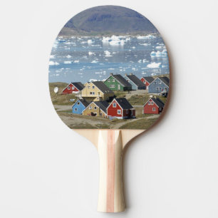 Colourful architecture of the town, Narsaq, Ping Pong Paddle