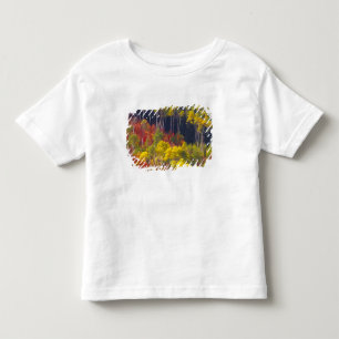 Colourful aspens in Logan Canyon Utah in the Toddler T-Shirt