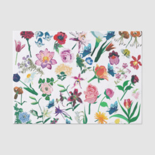 Colourful Assorted Spring Flowers White Background Tissue Paper