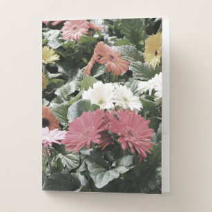 Colourful Asters Flowers Muted Floral Photography Pocket Folder