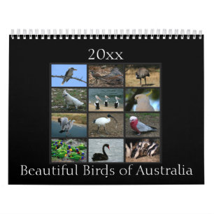 Colourful Australian Birds Calendar