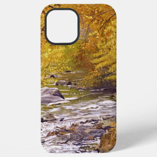 Colourful Autumn Aspens in Morrison Colorado iPhone 12 Pro Max Case