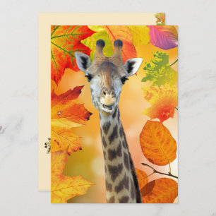 Colourful Autumn / Fall Giraffe 