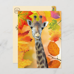 Colourful Autumn / Fall Giraffe  Postcard