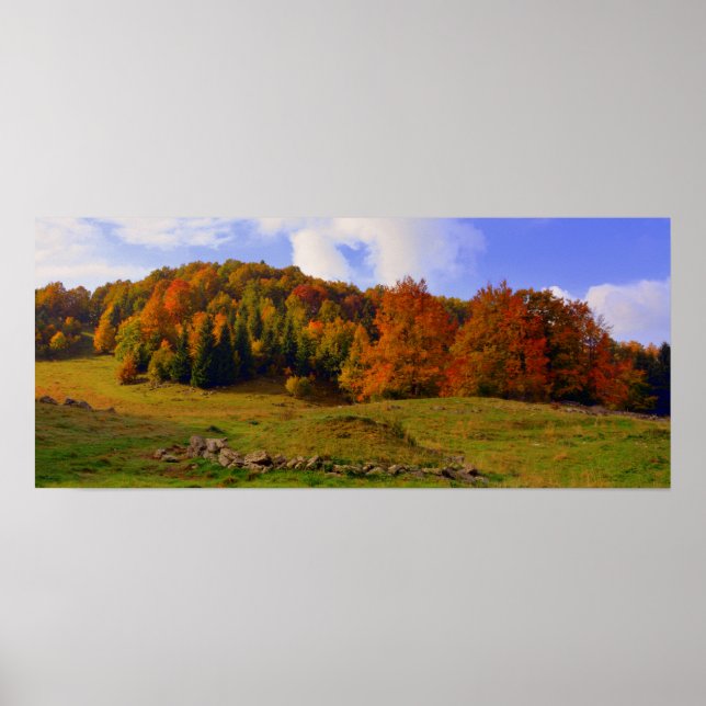 Colourful Autumn Landscape Poster (Front)