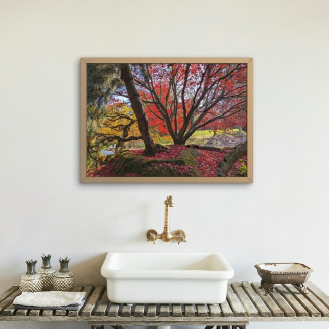 Colourful Autumn Leaves and Trees Landscape Photo Print (In Situ Framed)