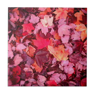 Colourful Autumn Leaves Ceramic Tile