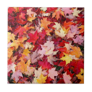 Colourful Autumn Leaves Ceramic Tile